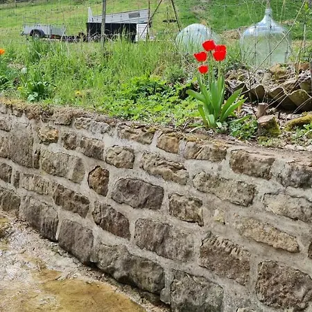 D'muppemillen * Waldbillig